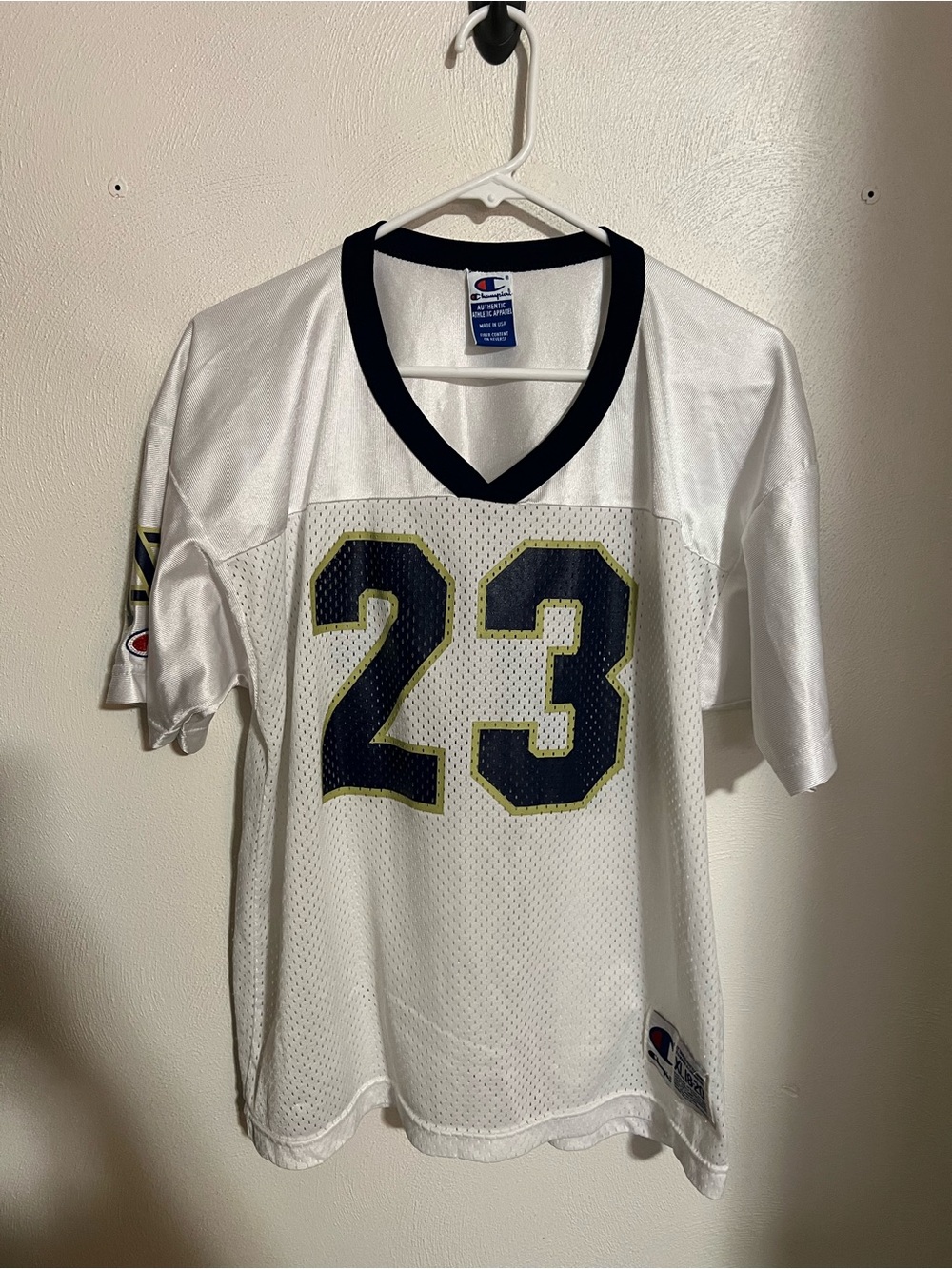 CHAMPION *Vintage* Notre Dame Fighting Irish Mesh‎ 23 Football Jersey Boys Sz XL